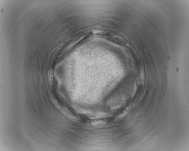 X0000070350468200607072042