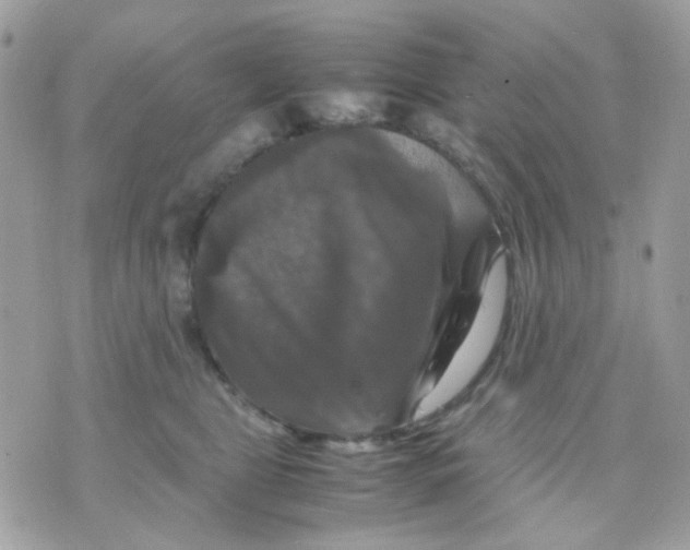 X0000070350469200607072042