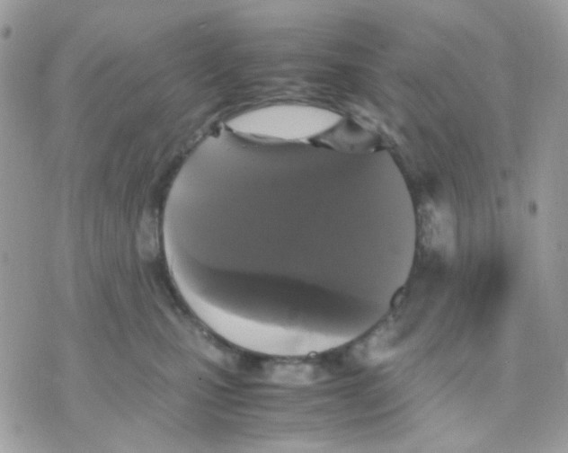 X0000070350471200607072043