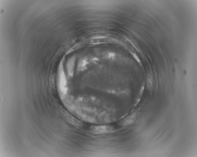 X0000070350473200607072043