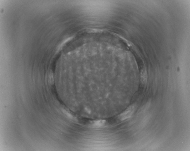 X0000070350474200607072043