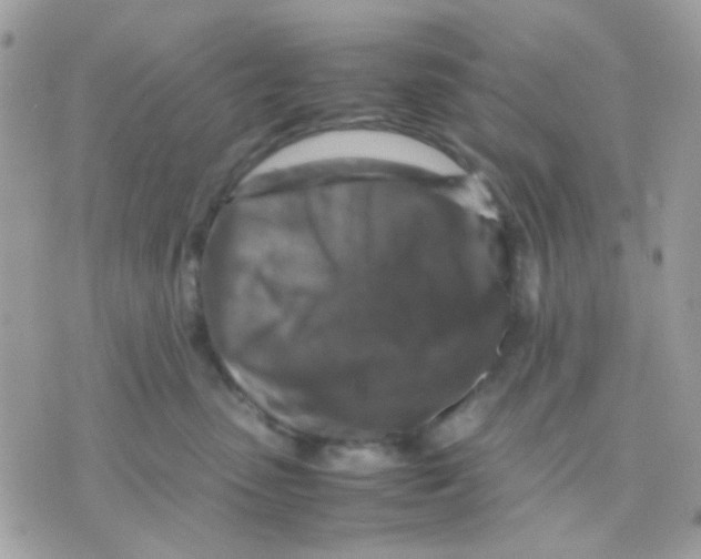 X0000070350475200607072043