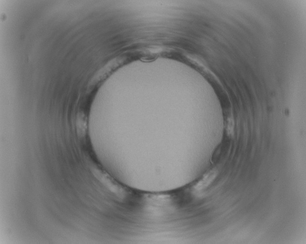 X0000070350476200607072043