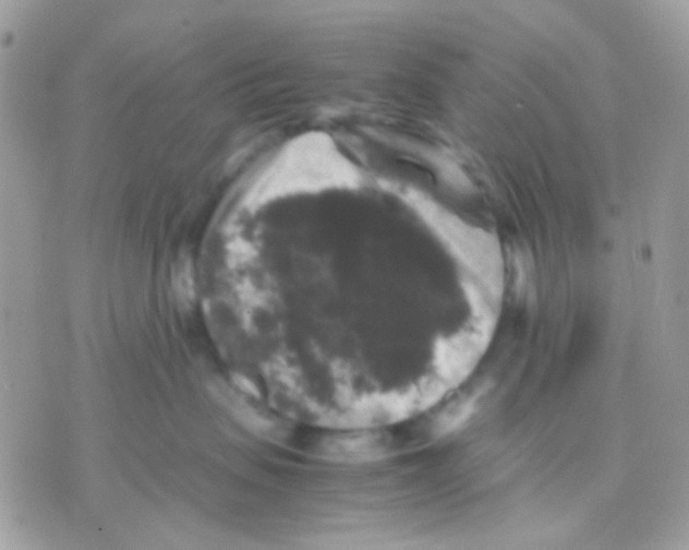 X0000070350479200607072043