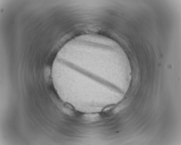 X0000070350480200607072043