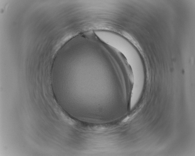 X0000070350481200607072042