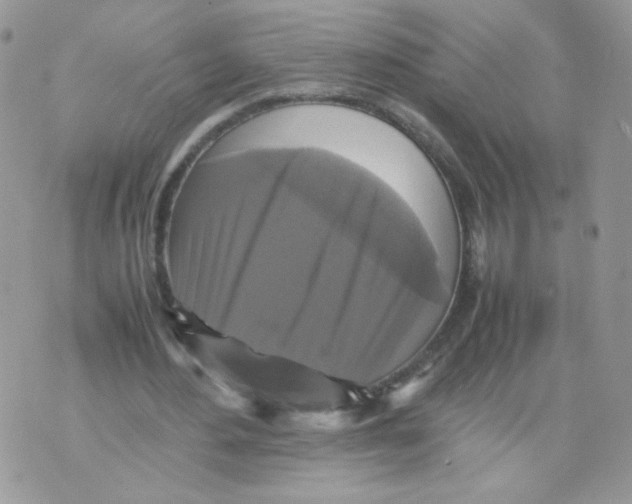 X0000070350484200607072042