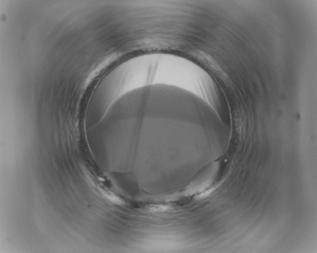 X0000070350488200607072042