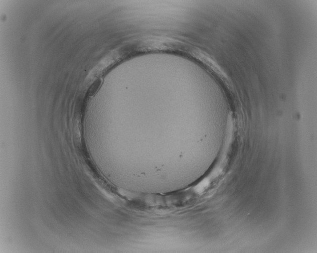 X0000070350489200607072042