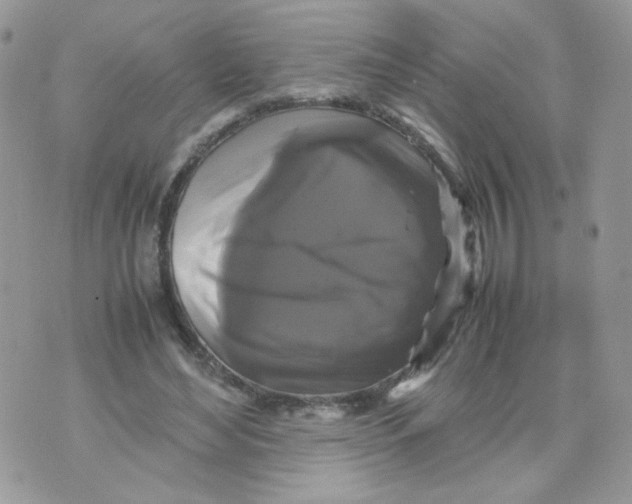 X0000070350492200607072042