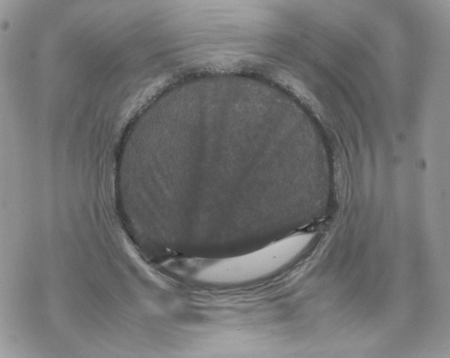 X0000070350493200607072042