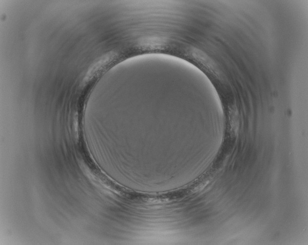 X0000070350494200607072042