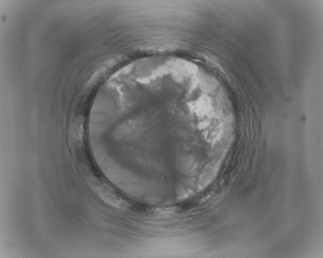 X0000070350495200607072042