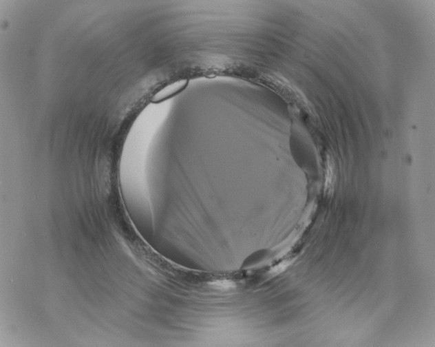 X0000070350496200607072042