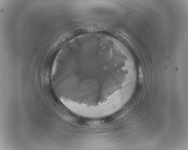 X0000070350499200607072042