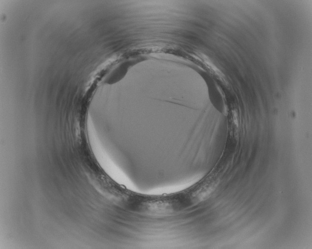 X0000070350500200607072042