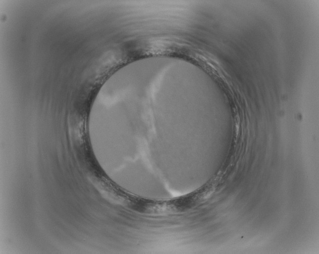 X0000070350503200607072042