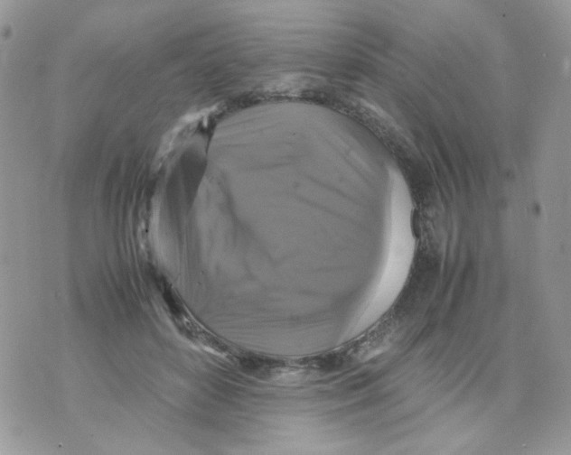 X0000070350504200607072042