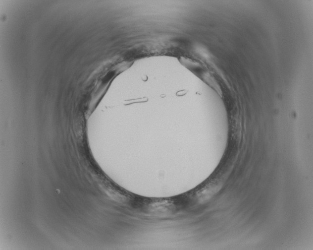 X0000070350505200607072041