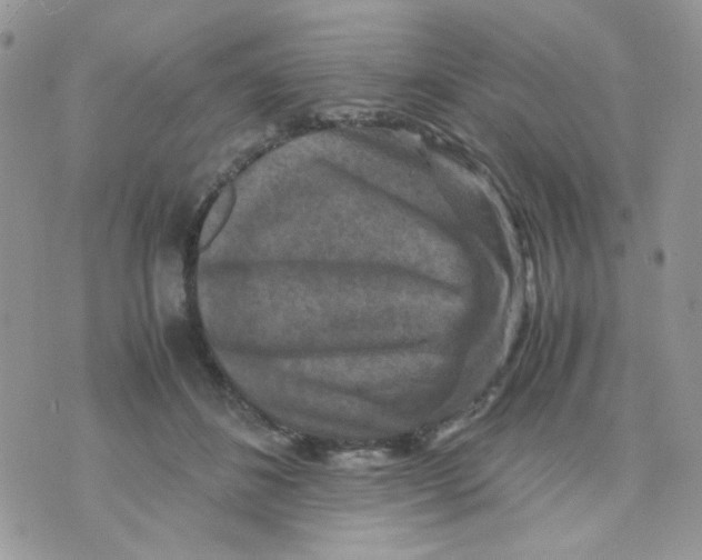 X0000070350508200607072041