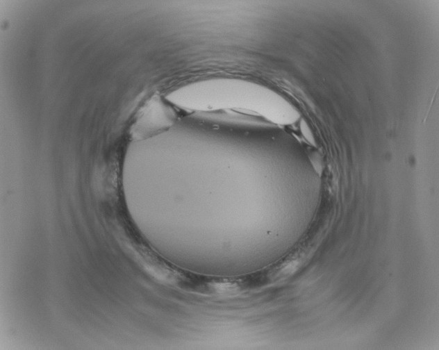 X0000070350509200607072041