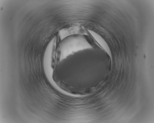 X0000070350510200607072041