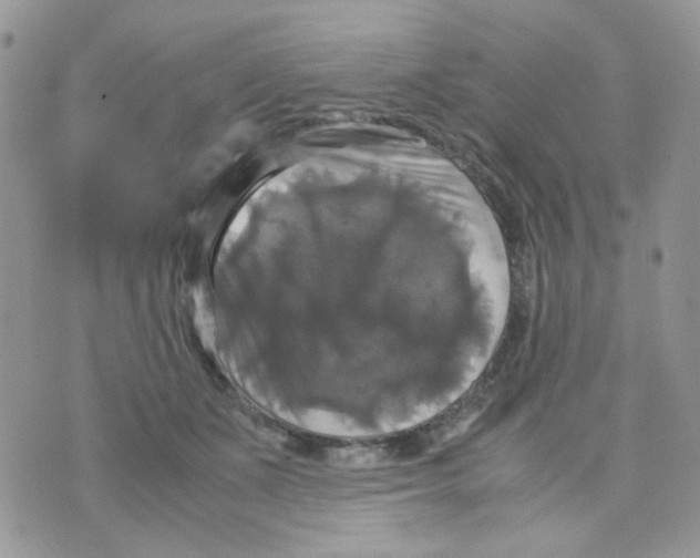 X0000070350511200607072041