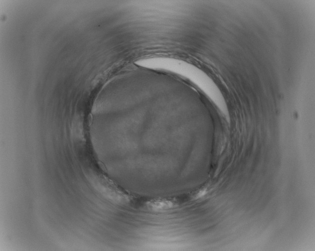 X0000070350512200607072041