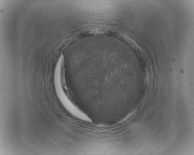 X0000070350513200607072041