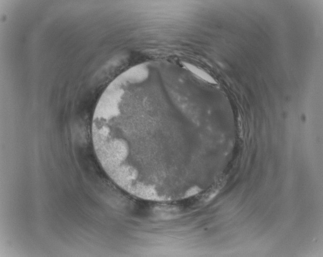 X0000070350515200607072041