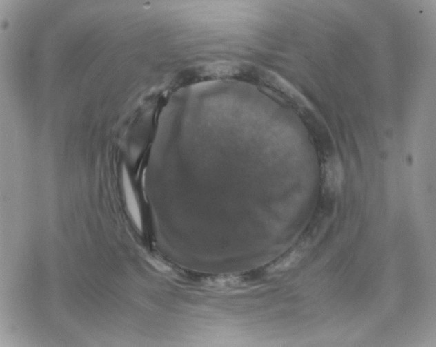 X0000070350517200607072041