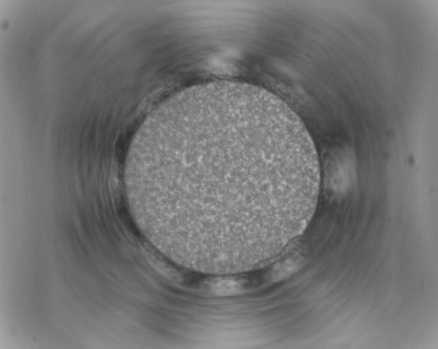 X0000070350518200607072041