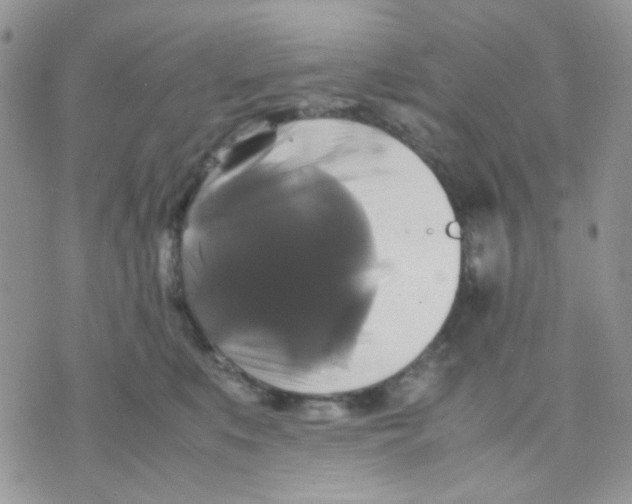 X0000070350519200607072041