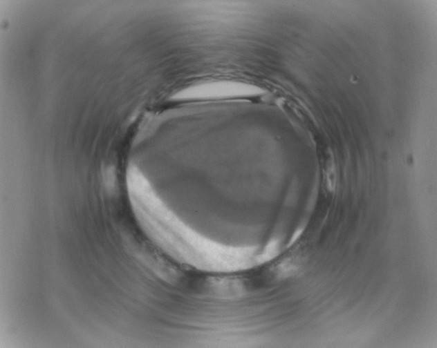 X0000070350520200607072041