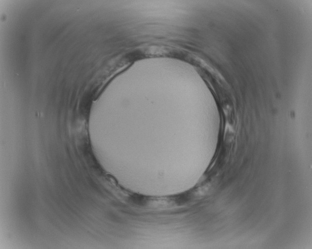 X0000070350521200607072041