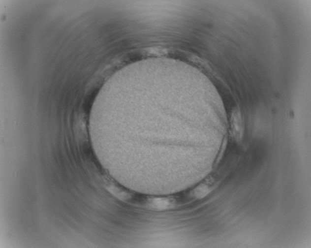 X0000070350522200607072041