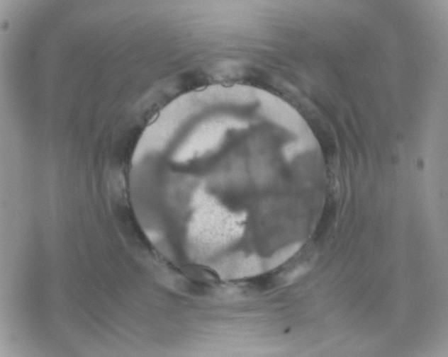 X0000070350523200607072041