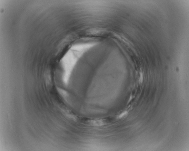 X0000070350524200607072041