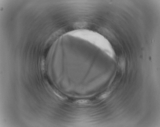 X0000070350526200607072041