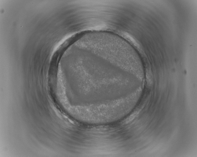 X0000070350532200607072040