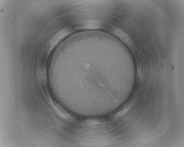 X0000070350534200607072040