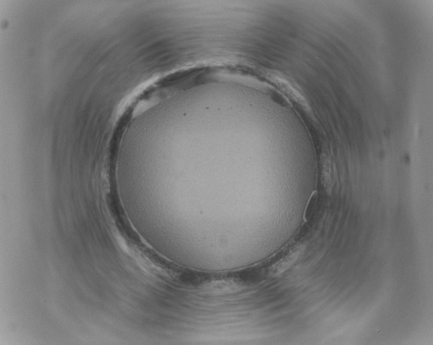 X0000070350536200607072040