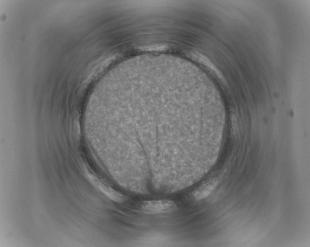 X0000070350541200607072041