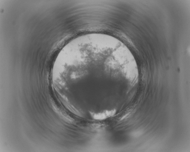 X0000070350542200607072041