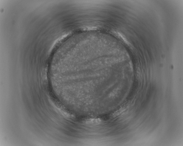 X0000070350543200607072041