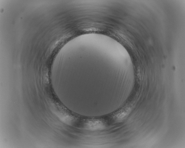 X0000070350547200607072041