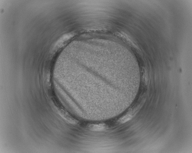 X0000070350548200607072041