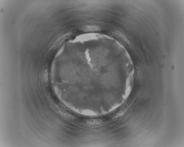 X0000070350549200607072041