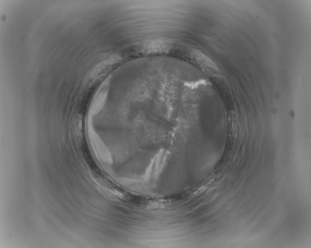 X0000070350550200607072041