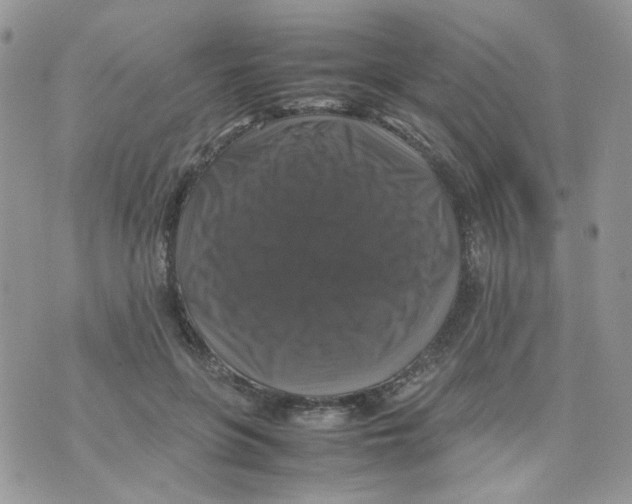 X0000070350551200607072041